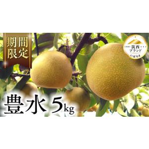 ふるさと納税 【 JA 北つくば 】 筑西ブランド 認証品 豊水 5kg 2025年産 先行予約 梨 果物 フルーツ なし ナシ 豊水梨 くだもの デザート 茨城 .. 茨城県筑西市