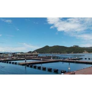 ふるさと納税 旅行 兵庫県 南あわじ市 海上釣堀「一般・イカダコース」（6時間釣り放題）