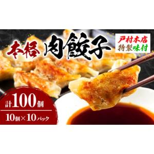 ふるさと納税 餃子 宮崎県 日南市 焼くだけ 簡単調理 本格 肉 餃子 10個 × 10パック 計100個 小分け ぎょうざ ギョーザ 加工品 国産 惣菜 戸村本店 特製餃子 …