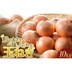 ふるさと納税 野菜類 玉ねぎ 群馬県 富岡市 形や大きさより味にこだわった玉ねぎ (10kg) 有機肥料 たまねぎ 玉ねぎ オニオン 甘七宝甘70 ソニック 野菜 食品 F…