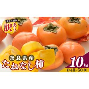 ふるさと納税 果物類 柿 奈良県 五條市  令和7年発送 先行予約 訳あり たねなし柿 約10kg （ 40〜50個 ) 2024年 大人気 | 種無し たねなし 柿 フルーツ 果物 …