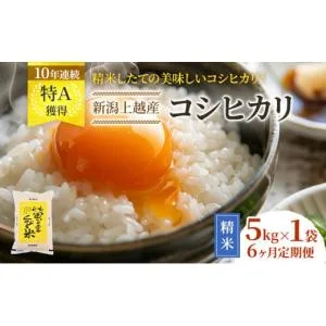 ふるさと納税 米 コシヒカリ 新潟県 上越市 令和7年産 先行予約 新潟 コシヒカリ 定期便 新米 6ヶ月連続お届け 5kg×6回 30kg 6か月 上越市 米 新潟県 こしひ…