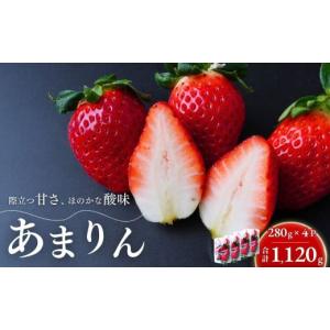 ふるさと納税 いちご 埼玉県 久喜市 第3回全国いちご選手権 入賞 あまりん 280g×4パック 2026年 先行予約 | いちご イチゴ 苺 ストロベリー ベリー 季節限定