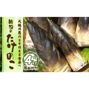 ふるさと納税 野菜類 山菜 新潟県 新発田市 たけのこ 4kg 米ぬか付き 野菜 旬 旬の野菜 春野菜 筍 たけのこ 地元 米ぬか 産地直送 甘い 柔らかい 特産品 有限…