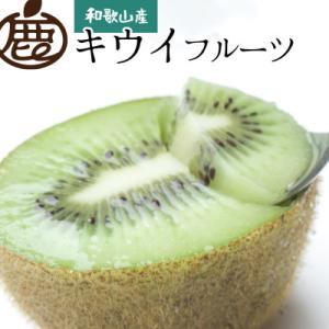 ふるさと納税 有田川町 ＜11月より発送＞家庭用キウイフルーツ3.5kg+105g(傷み補償分)【訳あり・扁平果】