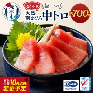 ふるさと納税 焼津市 【2025年12月お届け】訳ありミナミマグロ中トロ切落し約700g(a10-1000202512)