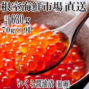 ふるさと納税 根室市 ＜計630g＞いくら醤油漬け(鮭卵)70g×9P B-14010