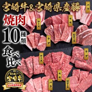 ふるさと納税 西都市 宮崎牛&宮崎県産豚肉 焼肉10種盛り　焼肉セット計600g[2765]