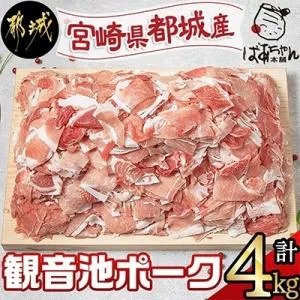 ふるさと納税 都城市 【さとふる限定】【宮崎県 都城市産】「観音池ポーク」4kgセット