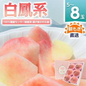ふるさと納税 山梨市 桃 『白鳳系』 約2kg 5〜8玉 朝もぎ直送! 選び抜かれた桃