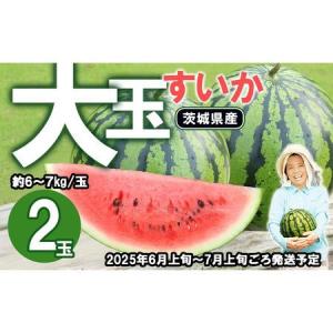 ふるさと納税 【先行予約】茨城県産大玉すいか2玉セット（約6〜7kg/玉）【2025年6月上旬〜7月上旬ごろ発送予定】【 スイカ 下妻 スイカ 茨城県 .. 茨城県下妻市