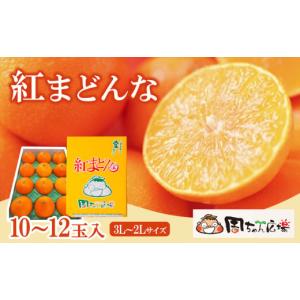 ふるさと納税 みかん・柑橘類 愛媛県 西条市  先行予約 周ちゃん広場より発送 「 紅まどんな 」 10〜12玉入（3L〜2Lサイズ） 3kg 化粧箱　2025年12月発送 紅ま…