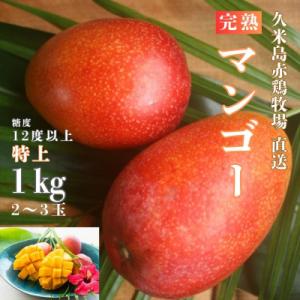 ふるさと納税 久米島町 【2025年発送】久米島赤鶏牧場の完熟マンゴー1kg(2〜3玉)