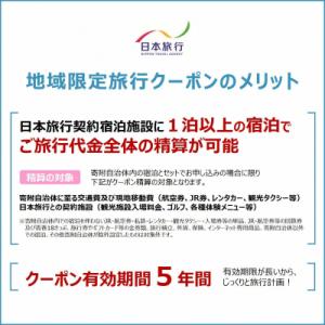 ふるさと納税 出雲市 島根県出雲市　日本旅行　地域限定旅行クーポン15,000円分