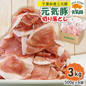 ふるさと納税 多古町 【小分けで便利】国産 元気豚 切り落とし 3kg(500g×6袋)　千葉県産三元豚　パラパラ凍結