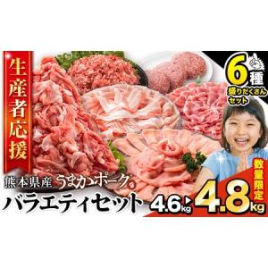 ふるさと納税 豚肉 バラエティセット 4.8kg 豚肉 バラ肉 熊本県大津町