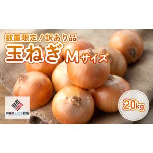 ふるさと納税 「数量限定訳あり品」玉ねぎMサイズ・20kg 【 ふるさと納税 人気 おすすめ ランキング たまねぎ 玉ねぎ 玉ネギ タマネギ 玉葱 オニ.. 北海道美幌町