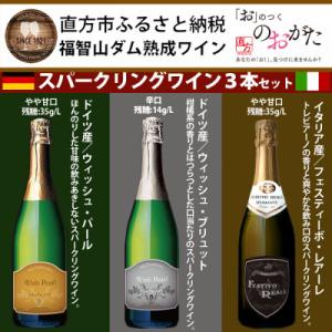ふるさと納税 直方市 福智山ダム熟成スパークリングワイン3本詰め合わせセット　FD323