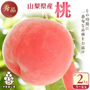 ふるさと納税 桃 山梨市 桃 山梨市産 秀桃 約2kg