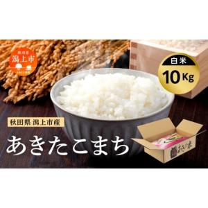 ふるさと納税 米 あきたこまち 秋田県 潟上市 《先行予約》 令和7年産 あきたこまち 10kg 新米 白米 精米 直送 米 お米 こめ おこめ コメ コスパ ブランド米