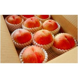 ふるさと納税 もも 山形県 天童市 07-02-009　もも(8月旬の白桃)3kg