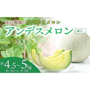 ふるさと納税 メロン メロン青肉 山形県 鶴岡市 令和7年産 先行予約 庄内砂丘メロン　2L〜4Lサイズ　約4.5kg〜5kg　(3〜5玉)　つるなしアンデスメロン　山形