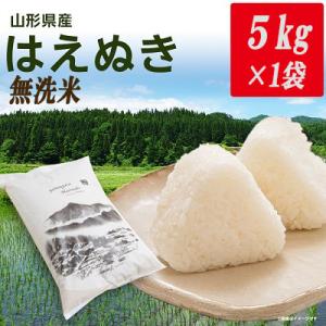 ふるさと納税 新庄市 令和6年産山形県産はえぬき 無洗米(精米)　5kg