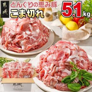 ふるさと納税 都城市 都城産「どんぐりの恵み豚」こま切れ　5.1kg(300g×17パック)