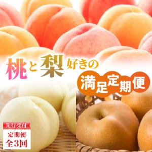 ふるさと納税 大江町 ≪先行受付≫ 桃と梨好きの満足定期便【定期便全3回】 060-T10