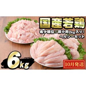ふるさと納税 鶏肉 セット 鹿児島県 東串良町 0124806a-2510 2025年10月発送予定 国産若鶏肉ヘルシーセット(合計6kg・ムネ、ささみ、肩小肉) 鶏肉 鳥肉 とり