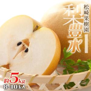 ふるさと納税 角田市 梨「豊水」約5kg(8〜10玉入)【松崎果樹園】