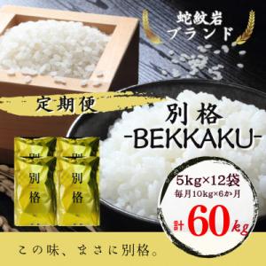 ふるさと納税 養父市 【毎月定期便】【蛇紋岩ブランド　別格米60kg】全6回