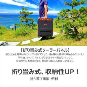 ふるさと納税 貝塚市 折畳みソーラーパネル 200W 急速充電対応 MC4ケーブル付き 高効率 TYH-200WA
