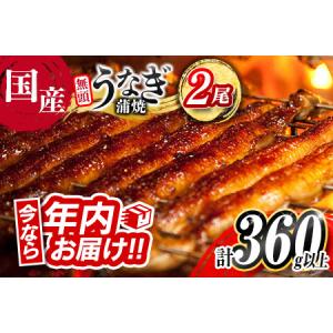 ふるさと納税 ＜今なら年内お届け!!＞高評価!! うなぎ 鰻楽 国産 蒲焼 2尾 人気 無頭 計360g以上 おすすめ 冷凍 簡単調理 個包装 鰻 魚介 贈答品.. 宮崎県新富町