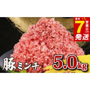 ふるさと納税 豚ひき肉 小分け 計5kg 【 豚ひき肉 】千葉県産 千葉県旭市