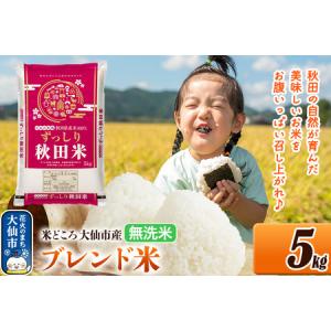 ふるさと納税 米 米どころ 秋田県大仙市産 ブレンド米 令和7年産【無洗米】5kg（5kg×1袋） 秋田県大仙市