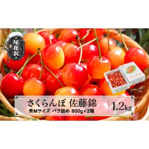 ふるさと納税 果物類 さくらんぼ 山形県 尾花沢市 先行予約 さくらんぼ 佐藤錦 秀Mサイズ 1.2kg(600g×2箱) 6月上旬~下旬頃発送 バラ詰め 令和8年産 2026年産