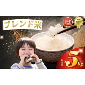 ふるさと納税 米 ブレンド 栃木県 下野市 ブレンド米 5kg | 米 こめ コメ kome 白米 精米 お米 栃木米 令和7年度米 令和7年度 2025年度米 2025年度 ブランド米
