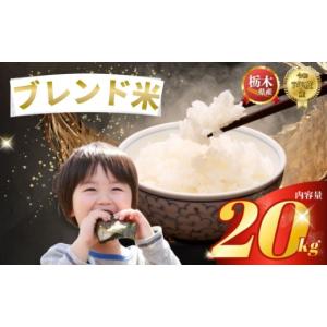 ふるさと納税 米 ブレンド 栃木県 下野市 ブレンド米 20kg | 米 こめ コメ kome 白米 精米 お米 栃木米 令和7年度米 令和7年度 2025年度米 2025年度 ブランド