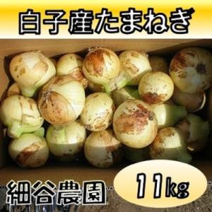 ふるさと納税 白子町 【先行受付】千葉県　白子産たまねぎ　11kg