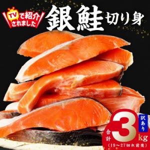 ふるさと納税 泉佐野市 【TVで紹介!】銀鮭切り身 3kg 訳あり サイズ不揃い 27切れ前後 kgp0018