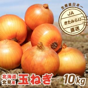 ふるさと納税 【予約：2026年9月上旬から順次発送】JAきたみらい産 玉ねぎ Lサイズ 10kg ( タマネギ たまねぎ 野菜 )【210-0003-2026】 北海道北見市