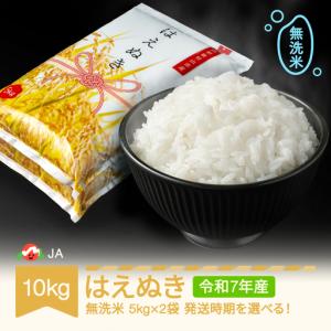 ふるさと納税 令和7年産 はえぬき 無洗米 10kg ja-hamxa10 山形県村山市