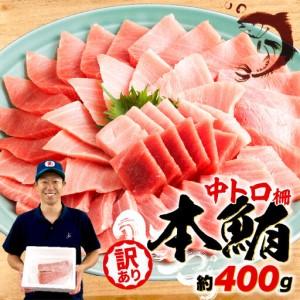 ふるさと納税 本まぐろ 中トロ 訳あり 約400g まぐろ【ge014】 静岡県藤枝市