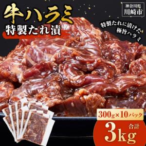 ふるさと納税 川崎市 【順次発送】訳あり 牛ハラミ 特製たれ漬 3kg 牛肉 お肉 肉 タレ漬け ハラミ 焼肉 焼き肉