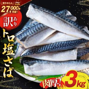 ふるさと納税 気仙沼市 訳あり 塩 サバ フィレ 3kg [気仙沼市 20564146] さば 鯖