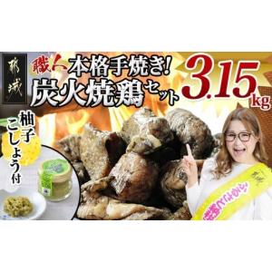 ふるさと納税 鶏肉 焼き鳥 宮崎県 都城市 本格手焼き 炭火焼鶏3.15kg(500g×6P、150g×1Ｐ)ゆずこしょう付_MJ-14-003-3150g-CF_(都城市) リピーター続出 鶏肉