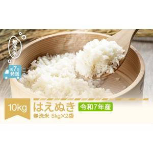 ふるさと納税 米 はえぬき 山形県 村山市 スピード配送 米 コメ 10kg 5kg×2 はえぬき 無洗米 令和7年産 2025年産 山形県産 tf-hamxa10 無洗米 10kg